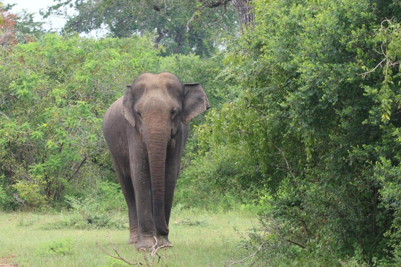 Vila Kele Yala Exteriér fotografie