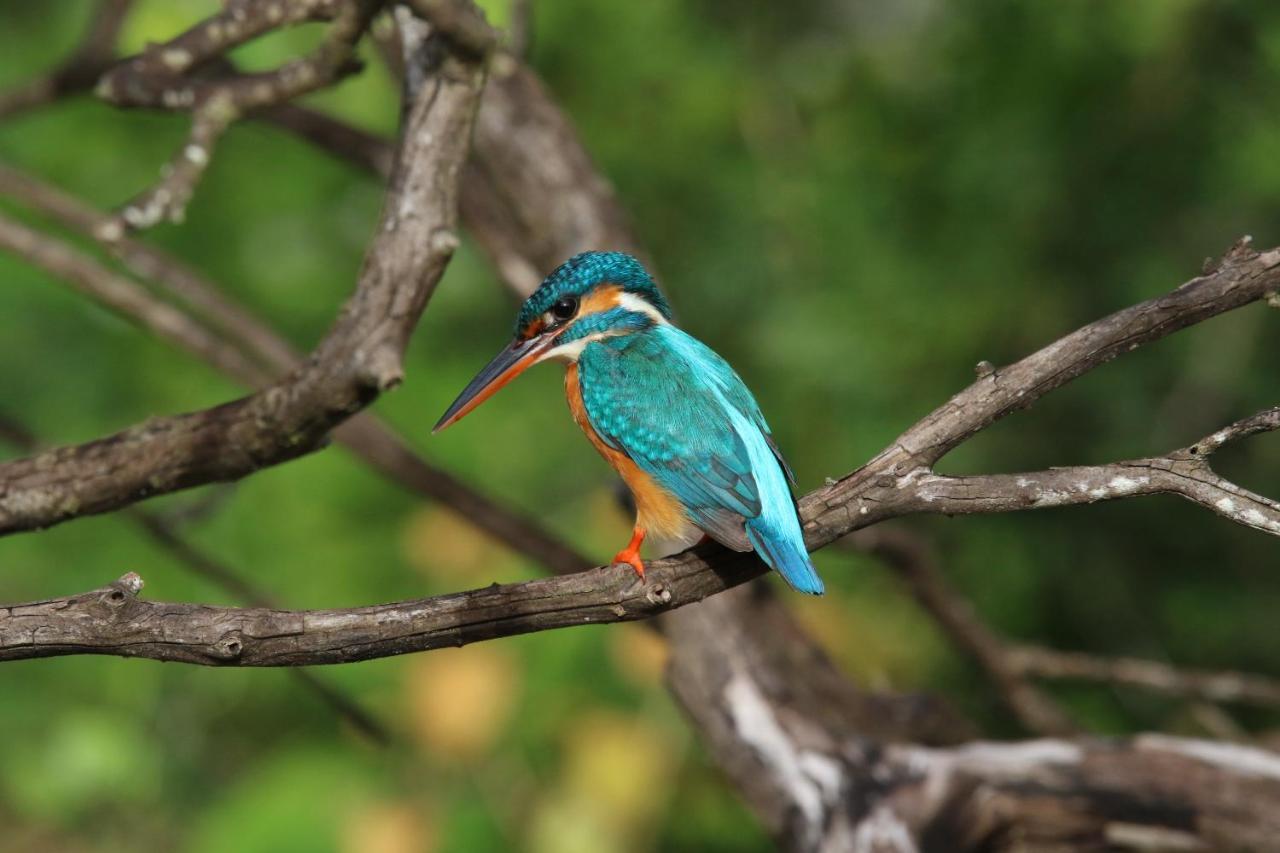 Vila Kele Yala Exteriér fotografie