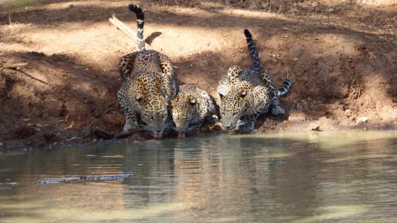 Vila Kele Yala Exteriér fotografie