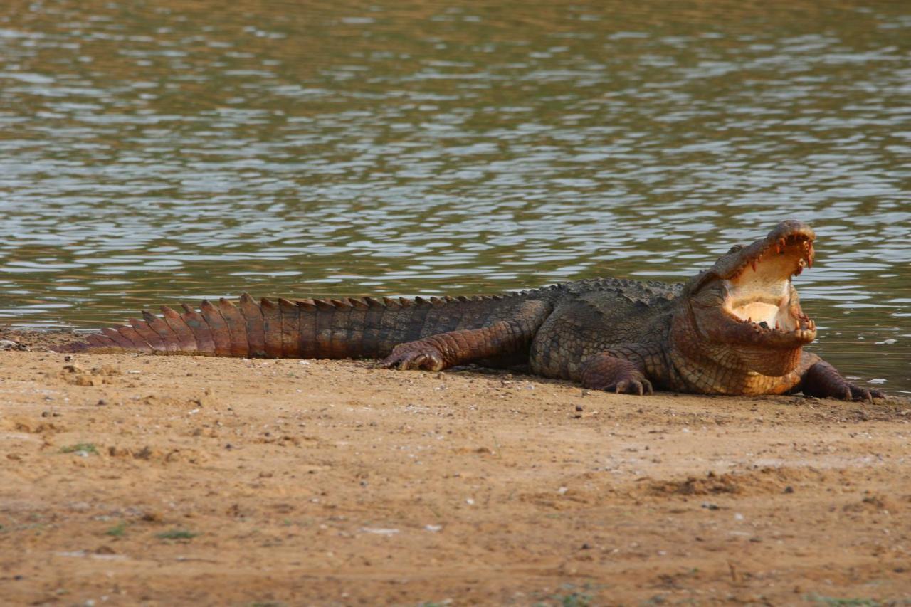 Vila Kele Yala Exteriér fotografie