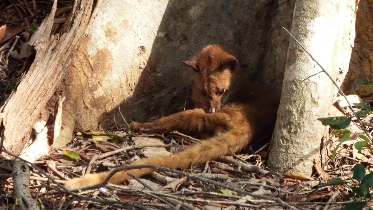 Vila Kele Yala Exteriér fotografie