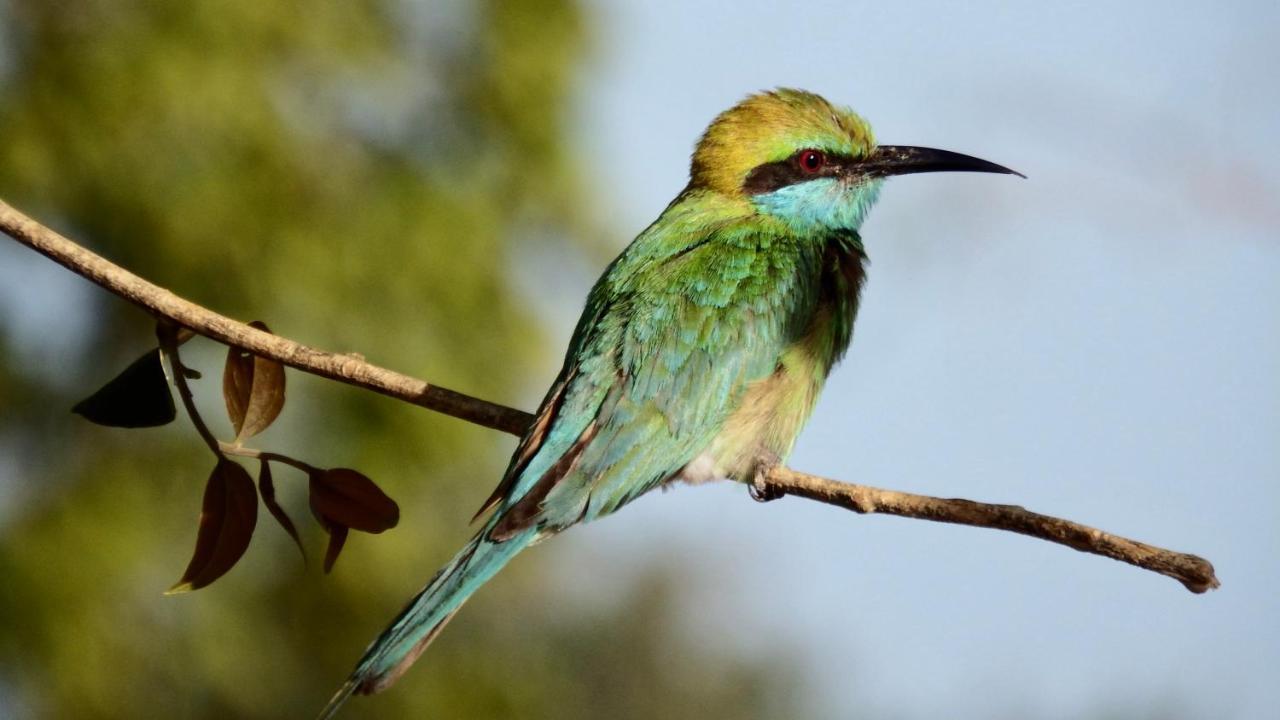 Vila Kele Yala Exteriér fotografie
