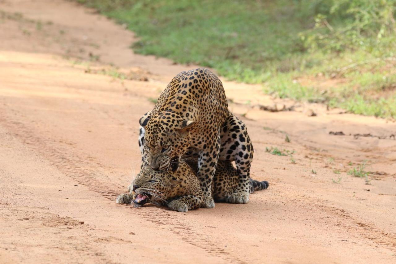 Vila Kele Yala Exteriér fotografie