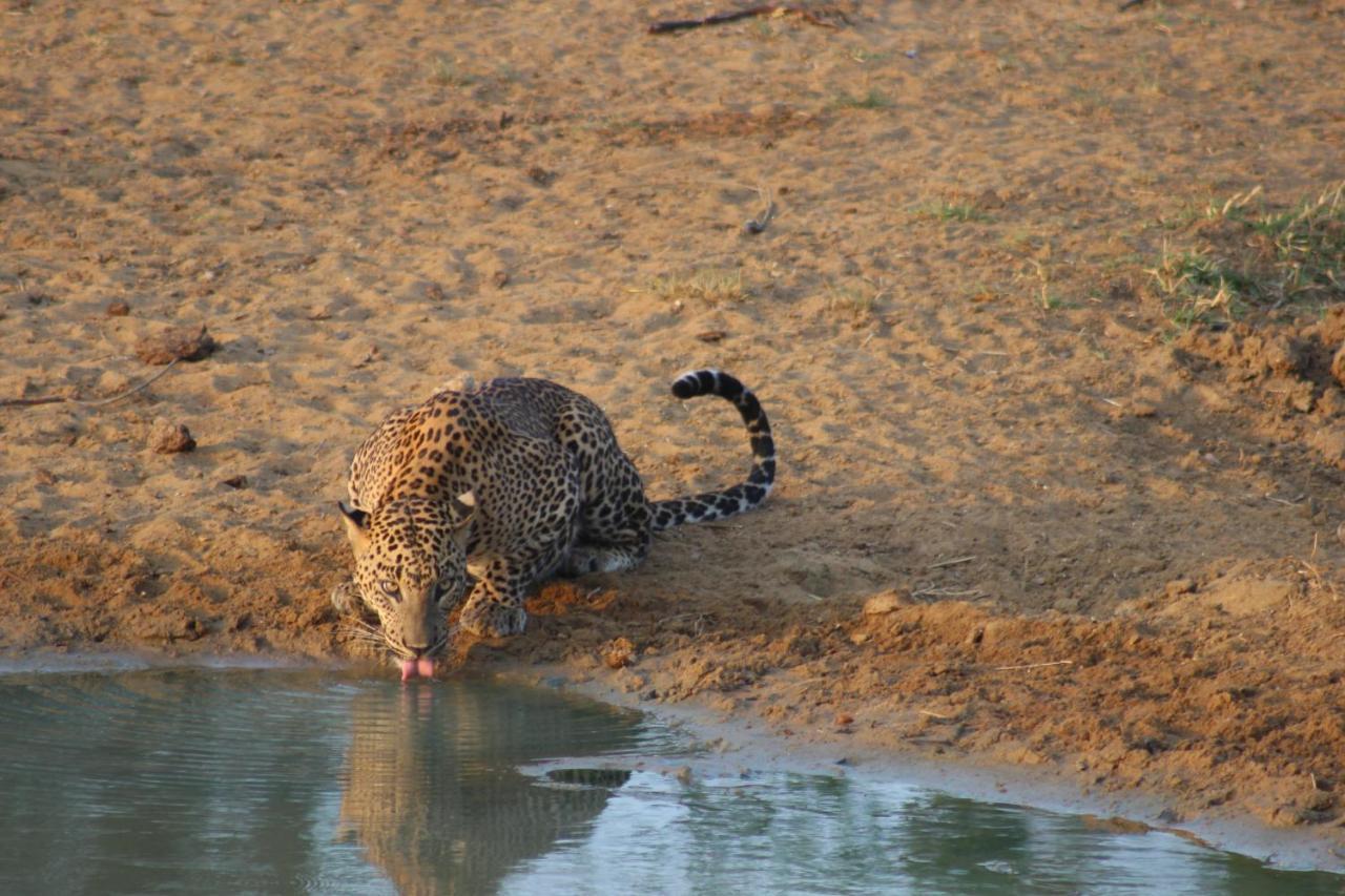 Vila Kele Yala Exteriér fotografie