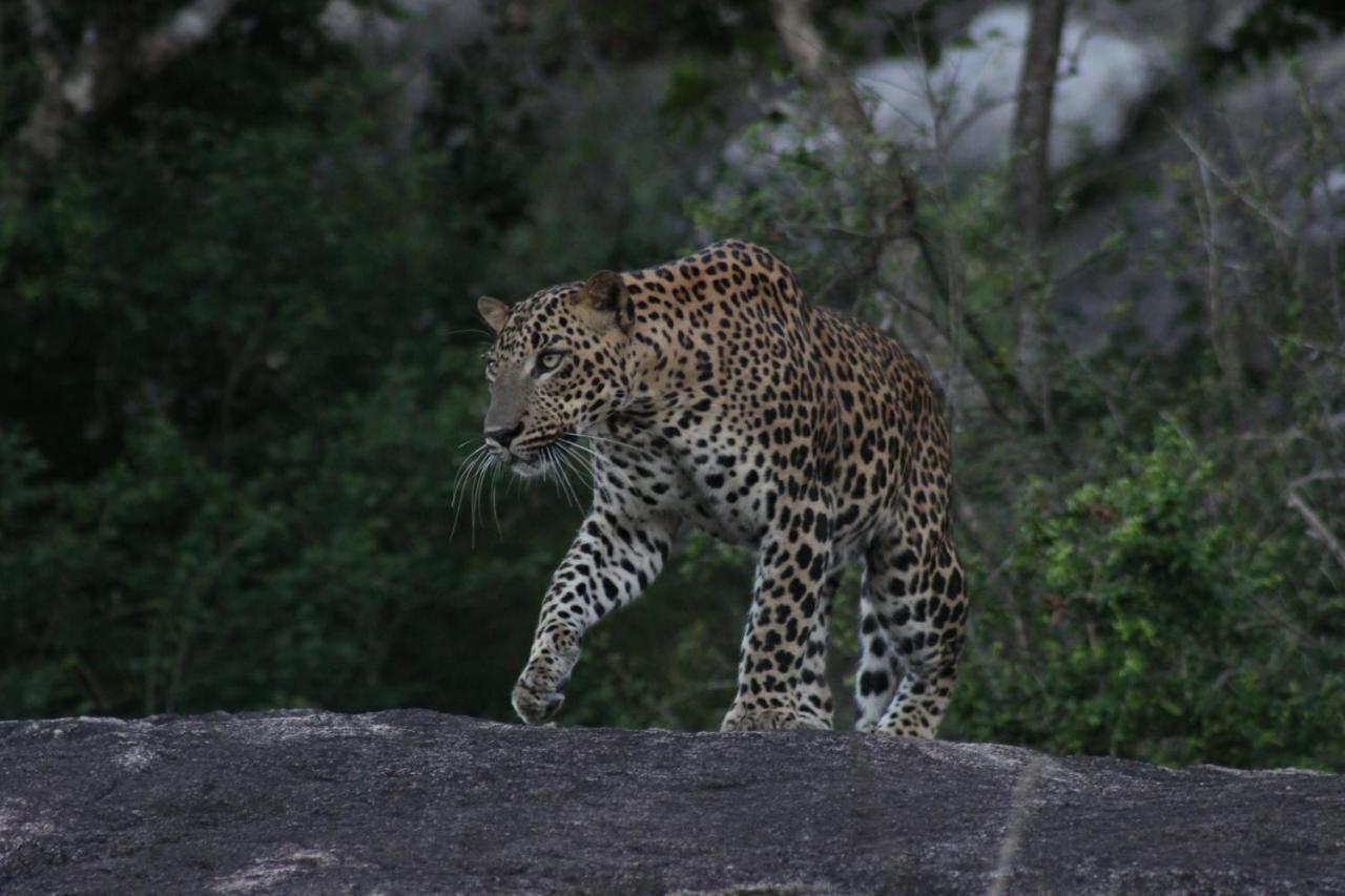 Vila Kele Yala Exteriér fotografie