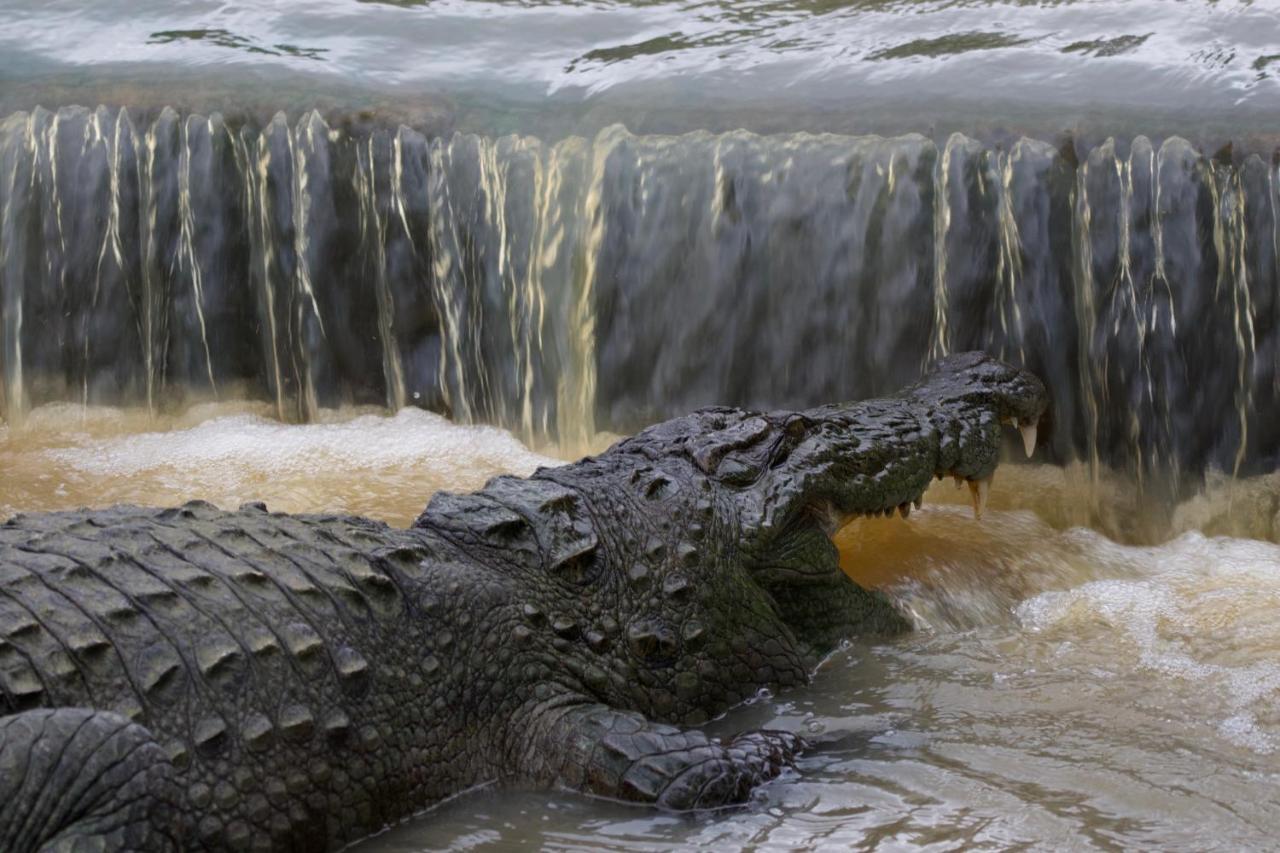 Vila Kele Yala Exteriér fotografie